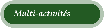 Multi-activits